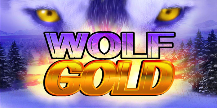 Website Slot Wolf Gold Scatter Besar Mudah Didapat
